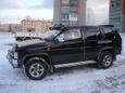 SUV   Nissan Terrano 1993 , 160000 , 