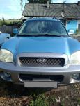 SUV   Hyundai Santa Fe 2003 , 355000 , 