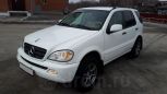 SUV   Mercedes-Benz M-Class 2002 , 520000 , 