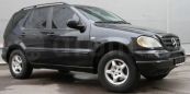 SUV   Mercedes-Benz M-Class 1999 , 230000 ,  