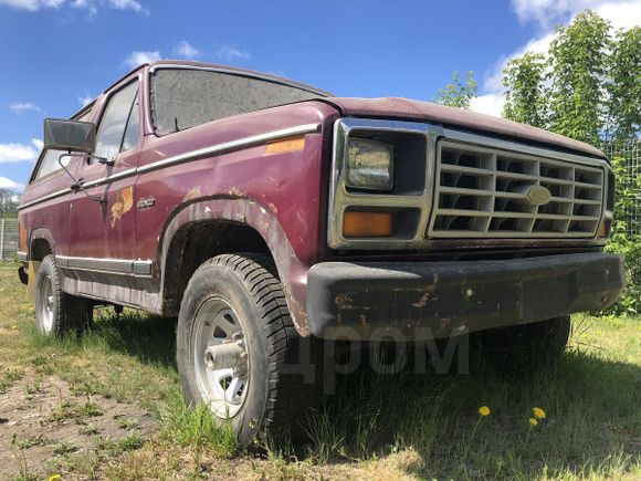  3  Ford Bronco 1982 , 600000 , 