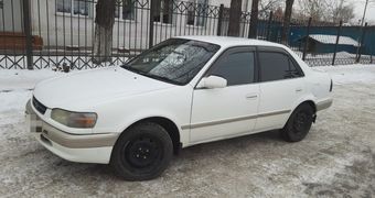 Седан Toyota Corolla 1996 года, 310000 рублей, Иркутск