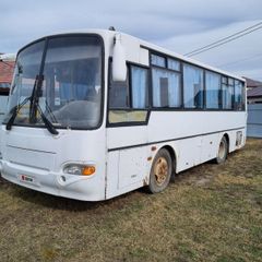 Междугородный автобус КАвЗ 4235 2008 года, 390000 рублей, Барнаул