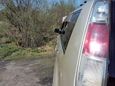 SUV   Nissan X-Trail 2004 , 450000 , 