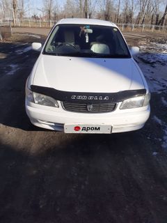 Седан Toyota Corolla 1998 года, 350000 рублей, Барнаул
