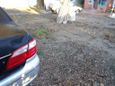  Nissan Cefiro 2002 , 185000 , 