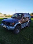  3  Mitsubishi Pajero 1991 , 250000 , 