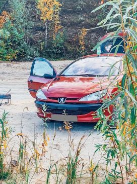  Peugeot 206 2001 , 99000 , 