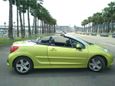   Peugeot 207 2009 , 700000 , 