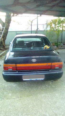  Toyota Corolla 1993 , 50000 , 