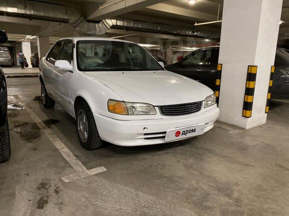  Toyota Corolla 1999 , 175000 , -