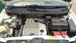 SUV   Toyota Harrier 2000 , 530000 , 