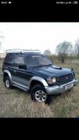  3  Mitsubishi Pajero 1995 , 210000 , 