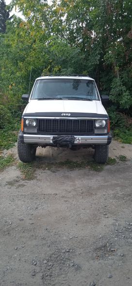 3  Jeep Cherokee 1989 , 260000 , 