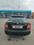  Skoda Octavia 2001 , 235000 , -