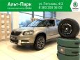 SUV   Skoda Yeti 2017 , 1411300 , 