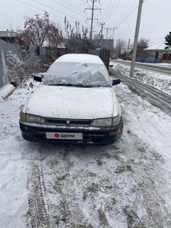 Универсал Toyota Corolla 1999 года, 135000 рублей, Тюмень