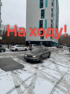 Седан Toyota Camry 1995 года, 110000 рублей, Новосибирск