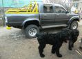  Toyota Hilux 1994 , 500000 , 