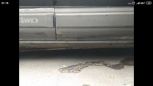  Toyota Sprinter Carib 1995 , 85000 , 