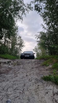 Седан Mercedes-Benz S-Class 1995 года, 800000 рублей, Ханты-Мансийск