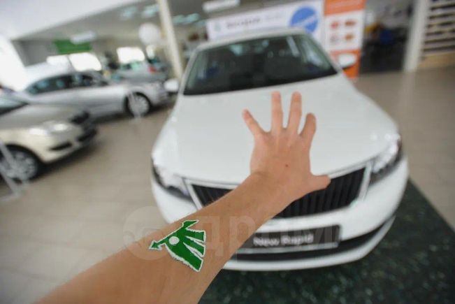  Skoda Rapid 2014 , 651000 ,  