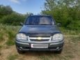 SUV   Chevrolet Niva 2010 , 320000 , 