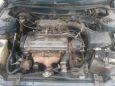  Toyota Corolla 1995 , 125000 , -