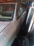 SUV   Isuzu Wizard 2000 , 300000 ,  