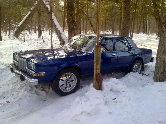  Plymouth Plymouth 1984 , 450000 , 