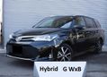  Toyota Corolla Fielder 2019 , 694000 , 