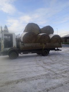 Бортовой грузовик МАЗ 4370 2012 года, 950000 рублей, Сухобузимское