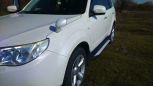 SUV   Subaru Forester 2008 , 730000 , 