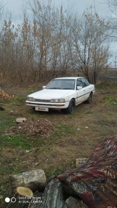 Седан Toyota Vista 1988 года, 50000 рублей, Спасск-Дальний