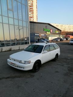 Универсал Toyota Corolla 1998 года, 315000 рублей, Владивосток