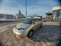 Хэтчбек Toyota Allex 2002 года, 617000 рублей, Барнаул