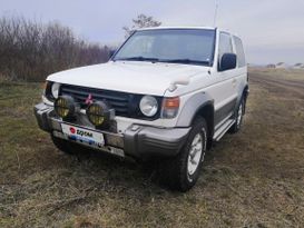  3  Mitsubishi Pajero 1995 , 315000 , -