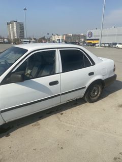 Седан Toyota Corolla 1998 года, 220000 рублей, Новосибирск