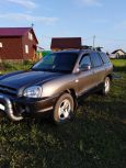 SUV   Hyundai Santa Fe Classic 2003 , 360000 , 