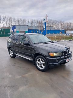 SUV или внедорожник BMW X5 2002 года, 1100000 рублей, Новосибирск