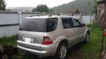 SUV   Mercedes-Benz M-Class 2001 , 420000 , 