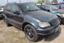 SUV   Mercedes-Benz M-Class 1998 , 200000 , 