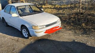 Седан Toyota Corolla 1993 года, 170000 рублей, Бийск