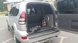 SUV   Toyota Land Cruiser Prado 2004 , 1150000 , -