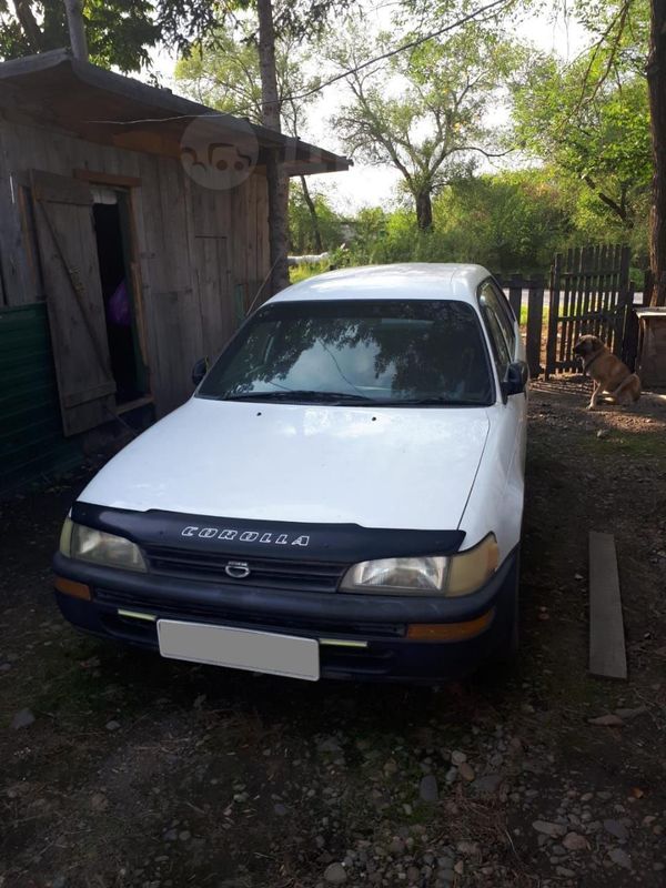  Toyota Corolla 2000 , 195000 , 