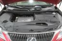 SUV   Lexus RX350 2010 , 1350000 , 