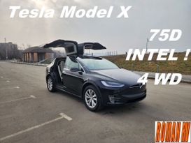  Model X 2019