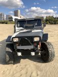  3  Jeep Wrangler 1989 , 600000 , 