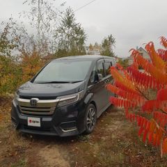 Минивэн или однообъемник Honda Stepwgn 2018 года, 2470000 рублей, Нововоронеж
