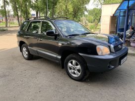 SUV   Hyundai Santa Fe 2004 , 300000 , 